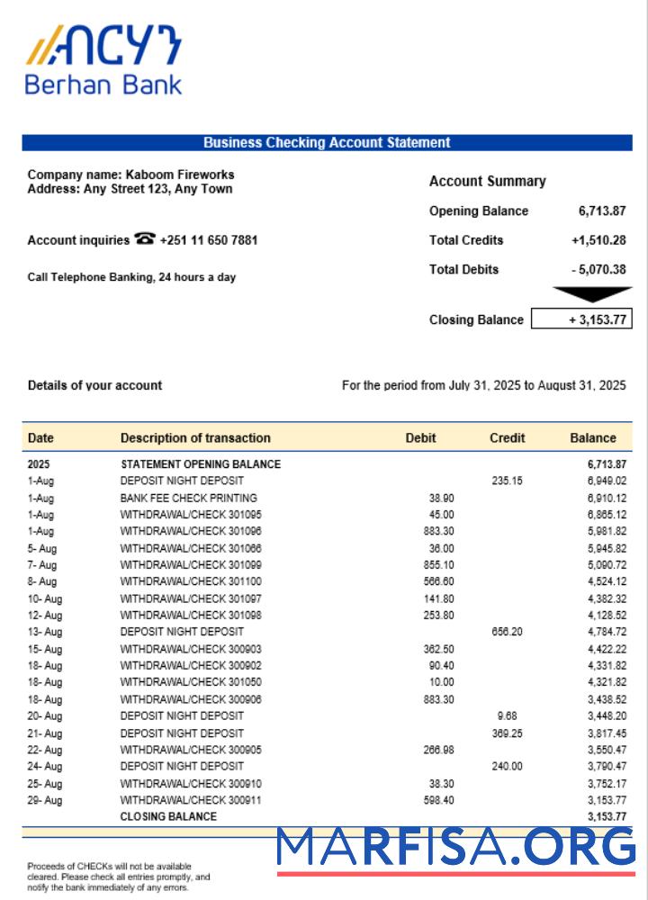 Realistic Berhan bank business firm account statement Word snd PDF format example